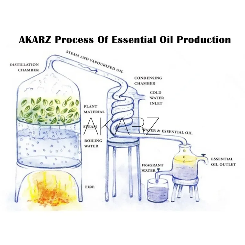 AKARZ benzersiz nadir uçucu ya - Sandalwood Perfume Oil incelemesi ve fiyatı