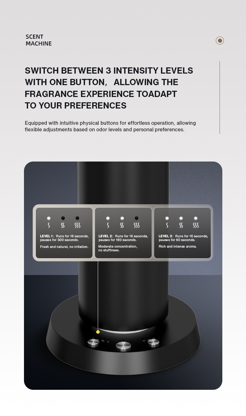 Ev Kokulandırıcı Parfüm Blueto - Perfume Fragrance World incelemesi ve fiyatı